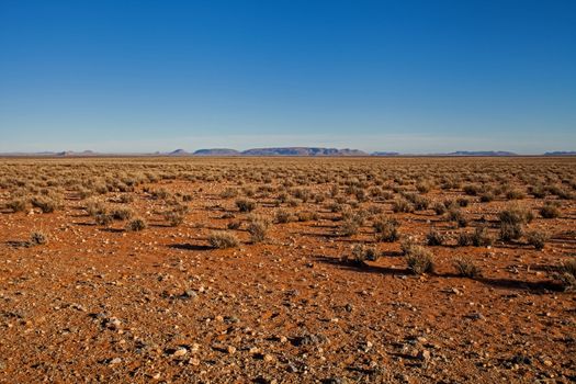 The bushmanland is an arid semi-desert area in the Northern Cape Province of South Africa and is named after the hunter-gatherer Bushman (also known as San) people who lived here