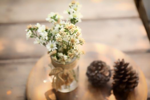 flower in jar