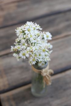 flower in jar