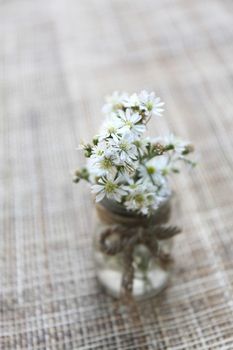 flower in jar