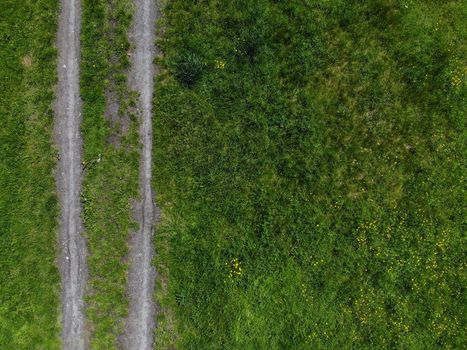 Top down look to connection of paths between grass and bushes