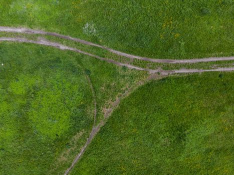 Top down look to connection of paths between grass, bushes and trees