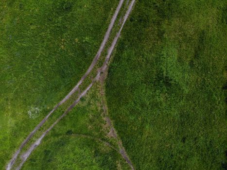 Top down look to connection of paths between grass and bushes