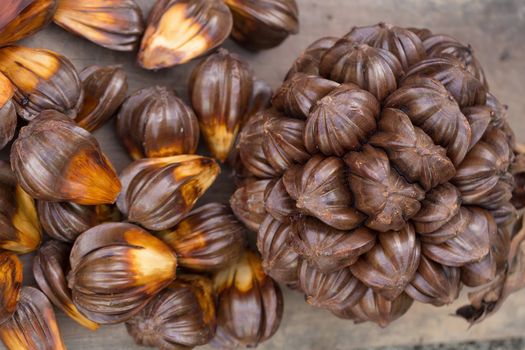 nypa palm fruit in Thailand, close up of nypa seed in nature.