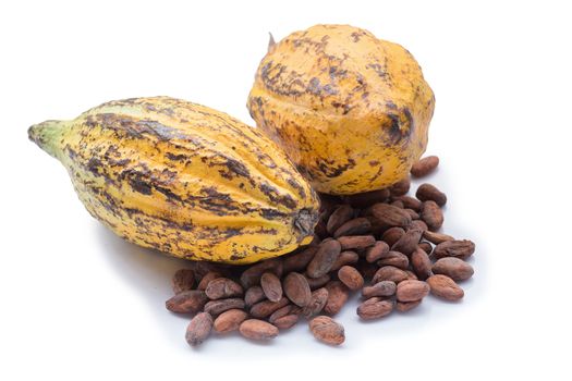 Cocoa fruit, raw cacao beans, Cocoa pod isolated on white background.