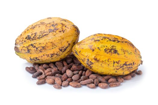 Cocoa fruit, raw cacao beans, Cocoa pod isolated on white background.