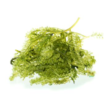 Umi-budou, Seaweed , Healthy sea food. Oval sea grapes seaweed. Healthy Food, Close up Green Caviar on white background.