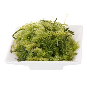 Umi-budou, Seaweed , Healthy sea food. Oval sea grapes seaweed. Healthy Food, Close up Green Caviar on white background.