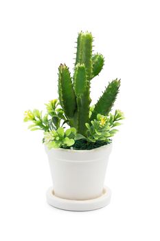 Bouquet of Plastic flowers. Plastic Flowers isolated on white background.