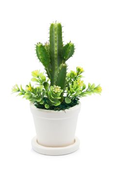 Bouquet of Plastic flowers. Plastic Flowers isolated on white background.