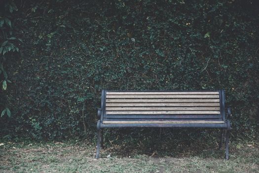 bench and leaves texture at English park