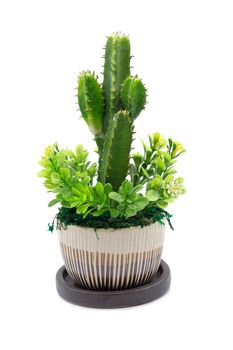 Bouquet of Plastic flowers. Plastic Flowers isolated on white background.