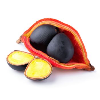 Sterculia monosperma,chestnuts isolate on white background.