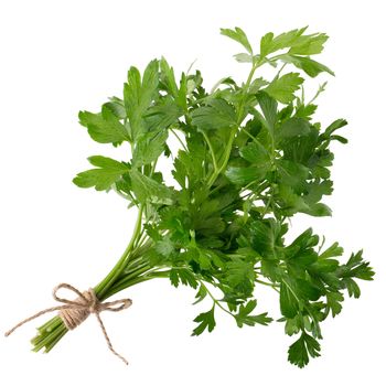 parsley fresh herb isolated on a white background.