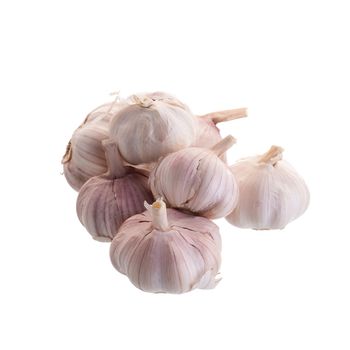 Garlic isolated on a white background.