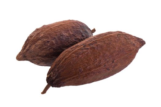 Dried cocoa pod on a white background.