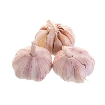 Garlic isolated on a white background.