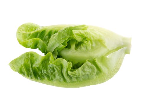 Fresh green cos lettuce Isolated on White Background.