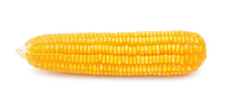 Dried corn maize isolated on the white background.