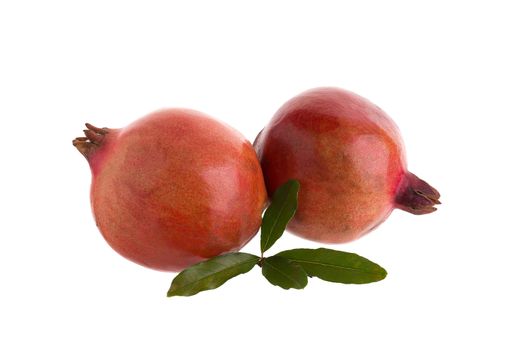 Pomegranate isolated on a white background.