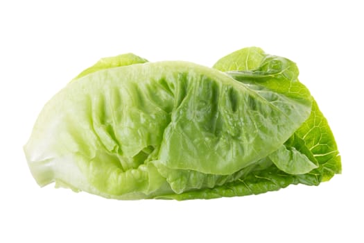 Fresh green cos lettuce Isolated on White Background.