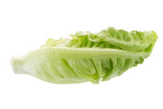 Fresh green cos lettuce Isolated on White Background.