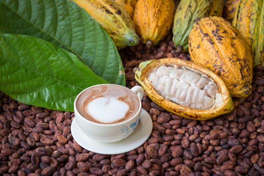 Ripe cocoa pod and beans setup on rustic wooden background.