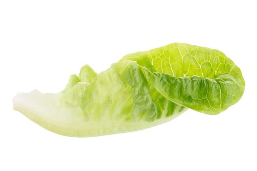 Fresh green cos lettuce Isolated on White Background.