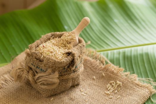 Brown rice in sacks on banana leaves.