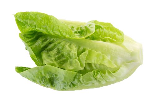 Fresh green cos lettuce Isolated on White Background.