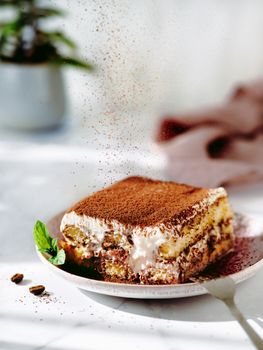 Perfect homemade tiramisu cake sprinkled with cocoa powder. Tiramisu portion on plate over white marble tabletop with green plant in pot on background. Delicious no bake tiramisu in natural daylight