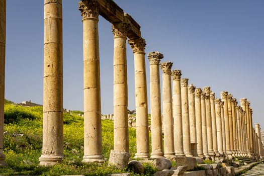 Pillars of the Colonnaded Street at the Roman historical site of Gerasa, Jerash, Jordan. Travel and Tourism in Jordan
