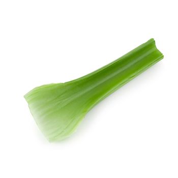 fresh celery isolated on a white background.