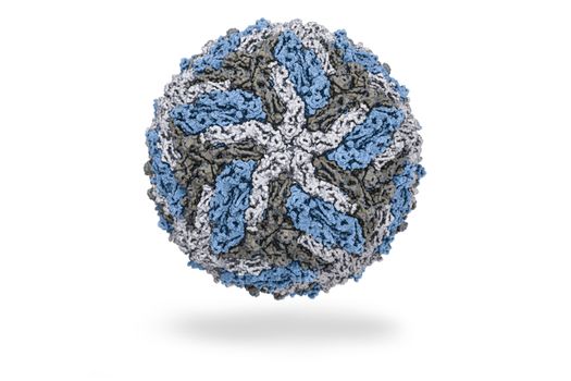 Dengue fever an acute viral disease transmissible. Structure of Dengue virus PDB 3ZKO. 