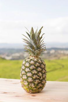 Fresh Pineapple fruit on a wooden table, outdoor