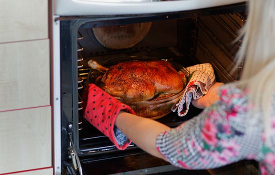 Woman taking out crispy roasted duck in a roasting pan in an oven.