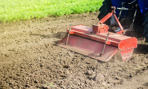 Tractor with milling machine loosens, grinds and mixes ground. Grinding and loosening soil, removing plants and roots from past harvest. Field preparation for new crop planting. Cultivation equipment.