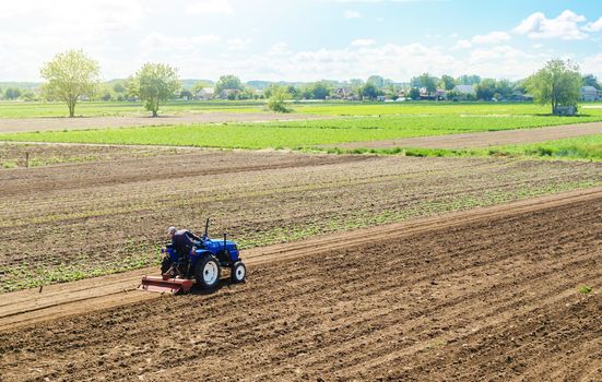 A farmer on a tractor cultivates a farm field. Field preparation for new crop planting. Cultivation equipment. Grinding and loosening soil, removing plants and roots from past harvest. Farm landscape