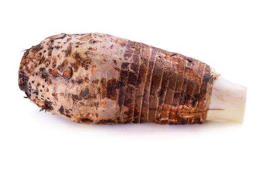 taro root isolated on a white background.