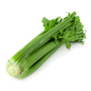 fresh celery isolated on a white background.