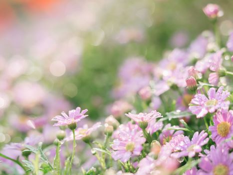 little pink flower in close up with raindrop in green background for space