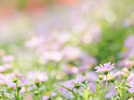 little pink flower in close up with raindrop in green background for space