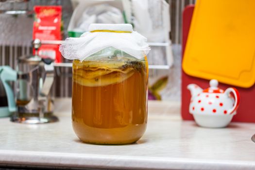 Homemade Kombucha Tea in glass jar on kitchen table - close-up with selective focus