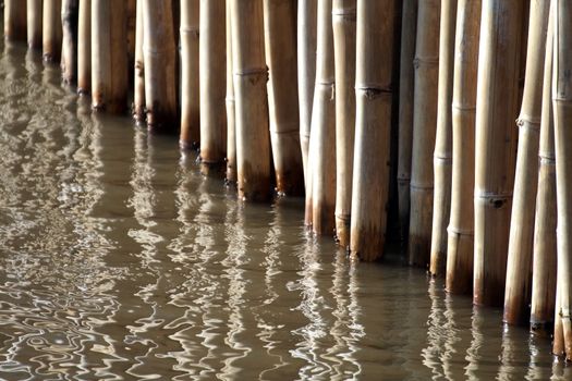 Bamboo wall sticks at water surface (selective focus)