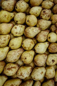 Many young pears, top view background