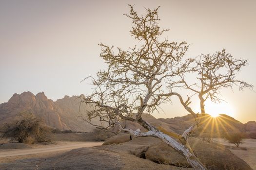 The Pondoks at sunrise near the Spitzkoppe mountain in Namibia in Africa.