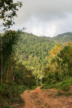 A dirt road among the jungle and mountains. Rural dirt road in the tropical forest in Thailand