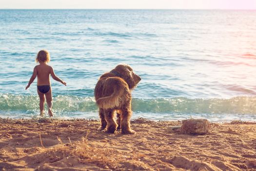 Little girl and the dog on the beach