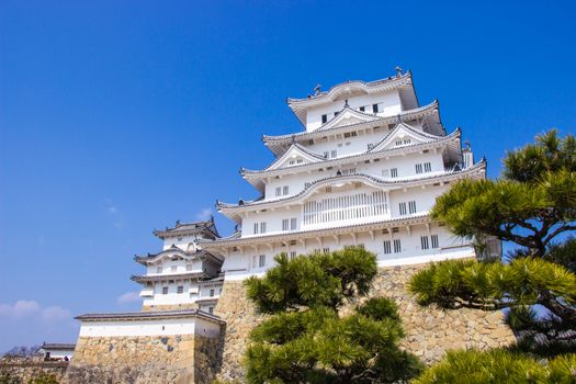 HIMEJI, JAPAN - MARCH 11, 2018: Himeji castle during sakura blossom time are going to bloom in Hyogo prefecture, Japan