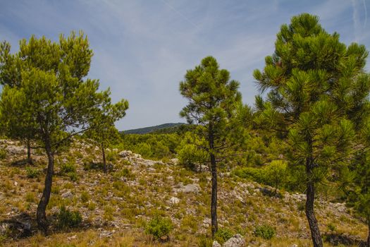 A route in the countryside in South of France